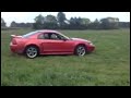 Mustang does donuts in a field!