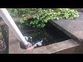 Fixing the gutter. Control flooding.(1)