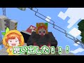 【最悪！】絵に描いたことが本当におこってしまうマインクラフト(#ぴこみんず)