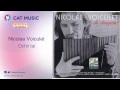 Nicolae Voiculet - Ochii tai