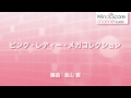 WSD-09-002 ピンク・レディー・メガコレクション（吹奏楽メドレー）