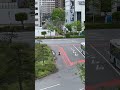 Japanese Bus Driver Playing With A Feral Cat