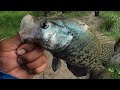 INSANE CRAPPIE FISHING‼️, 2024‼️