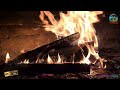 Wood Fire Oven #firewood #fypシ゚viral