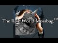 What are the Ancients? | Rain World Explained