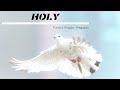 Holy Fundo Musical Oração - Roy Fields - In The Presence Of Angels
