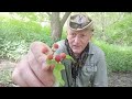 CTOA Jimmy Bremner Dexter the Boy, Urban Trail Walking Stick wild edibles and warch your 6