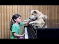 Bach on Piano for Sharky the Dog