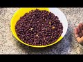 Easy Way To Make Roasted Pea Nuts  |Ground Nuts at Home .Miss Dee Ug.|Ebinyebwa.|#uganda .#Africa.