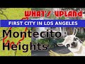 UPLAND - Los Angeles Release - First City to mint - Montecito Heights