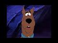 Scooby-Doo! en Latino | Gatos Asustadizos Scooby & Shaggy | WB Kids