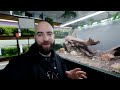 The Endler Sanctuary: EPIC 4ft Natural Style Aquarium (aquascape tutorial)