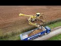 Sugar beet harvest 2024 drone footage from above