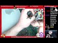 Painting Elves For Blood Bowl Live Stream | Painting Miniatures