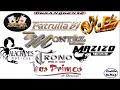 Duranguense Romantico y Para Bailar Exitos del Recuerdo Vol 2