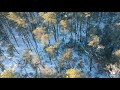 DJI Drone in the Snow with a Plainsong to Cure the Blues