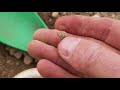 Nugget Hunting COLORADO GOLD, Gold Bug 2, Metal Detecting Find