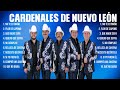 Cardenales de Nuevo León ~ Mix Grandes Sucessos Románticas Antigas de Cardenales de Nuevo León