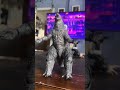 Godzilla vs mechagodzilla part 2