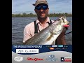 Podcast Ep. 16 - The Tire 10 and Other Big Lake Chronicles - Steve Stroderd