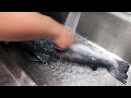 Amazing amount!! Japanese giant seafood sushi Futomaki making - Korean street food