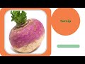 50 Vegetable Names In English | Kid Friendly | English Vocabulary