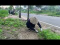 A kind aunt offered me water and sandwiches while I was tidying up the roadside grass