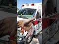 Ambulance Tint (ight)