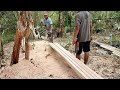 Skill in sawing tree trunks to make ribs measuring 6 cm × 6 cm