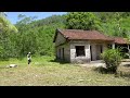 🌿🏡 Cleaning an Abandoned Jungle House Overrun by Wild Plants | Amazing Transformation 🌟