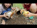 Catch snails in the stream. Suddenly found a giant pot of gold lý thị hương