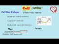 Cell anatomy and physiology in hindi || Introduction || types || Function || History | size & shape
