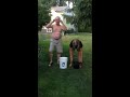 Ice bucket