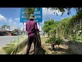 Clearing sidewalks and obstructed traffic signs | satisfying before and after transformation