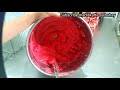 PAANO MAACHIEVE ANG RED  ICING?     HOW TO ACHIEVE RED COLOR SA WHIPPED CREAM WHIPPIT