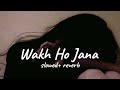 Wakh Ho Jana (slowed+ reverb)