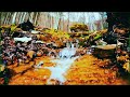 Noise of the Stream for Relaxation. Singing Birds in the Forest ✦ Noise of Water for Sleep ✦ Relax