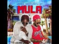 Jah Shii - Ft Damiithastylist - Mula (official audio ) Puffydonmusic 1057Riddim