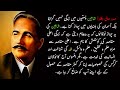 Urdu Speech On Iqbal Ka Shaheen | Best Urdu Speech On Iqbal Day | 9 November Speech In Urdu