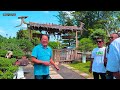 Thoroughly Peel Bonsai with Master Bokop Art Indonesia