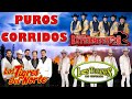 Puros Corridos Mix 2024 - Los Tucanes De Tijuana, Los Tigres Del Norte, Grupo Exterminador
