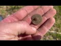 These things are everywhere!! Metal detecting a farm field! Equinox 600