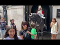 ENOUGH IS ENOUGH!! King's Horse's Pushing Disrespectful Tourists Away!