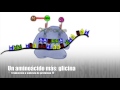 DNA transcription; RNA translation or protein synthesis; explained