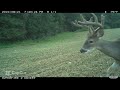 Fall Food Plot