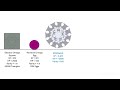 *ULTIMATE* ARRAS IO XP COMPARISON (EXTREME) - #arrasio