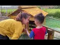 Full Video : Building dream farm - Harvest ducks, gardening, cooking, animal care & Build a pond