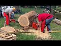 101 AMAZING Fastest Big Wood Chainsaw Machine Working At Another Level ▶6