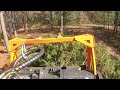 WHOLE TREES GONE IN SECONDS! ASV RT-135F With TMC Cancela Mulcher EATING TREES!