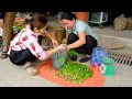 Pregnant women harvest celery to sell at the market - Cook with family